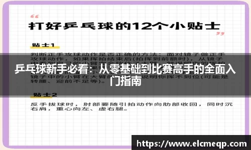 乒乓球新手必看：从零基础到比赛高手的全面入门指南