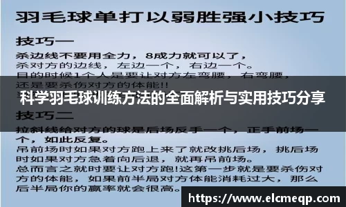 科学羽毛球训练方法的全面解析与实用技巧分享